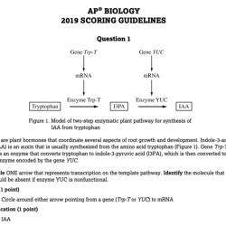 Ap bio unit 4 practice questions