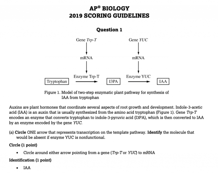 Ap bio unit 4 practice questions