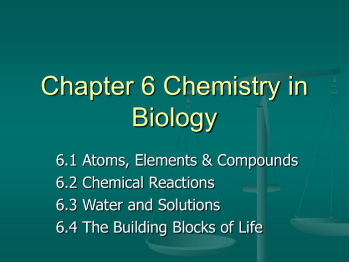 Chemistry in biology chapter 6 answer key