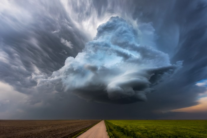 Choose the best translation cloud tormenta mariposa tierra nube