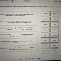 Paragraph describe complete following cell mitochondria role within choices answer may used than once solved