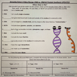 Worksheet on dna rna and protein synthesis answer key