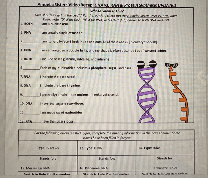 Worksheet on dna rna and protein synthesis answer key